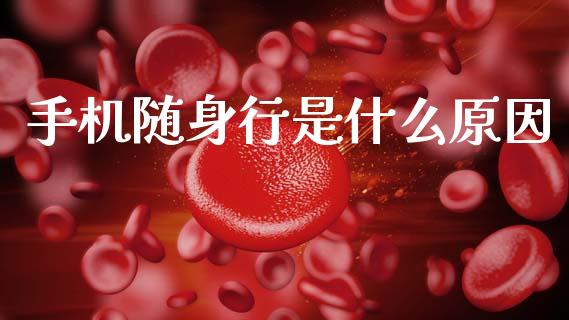 手机随身行是什么原因_https://www.apanben.com_国际财经_第1张
