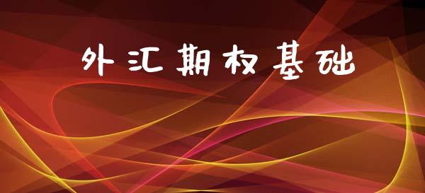 外汇期权基础_https://www.apanben.com_期货学院_第1张