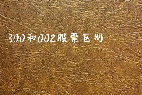 300和002股票区别_https://www.apanben.com_股市指导_第1张