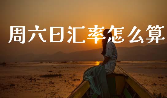 周六日汇率怎么算_https://www.apanben.com_在线喊单_第1张