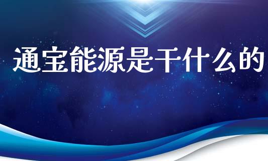 通宝能源是干什么的_https://www.apanben.com_财经资讯_第1张