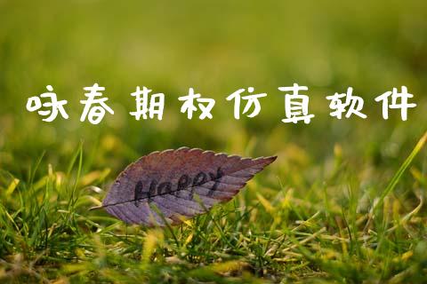 咏春期权仿真软件_https://www.apanben.com_财经资讯_第1张
