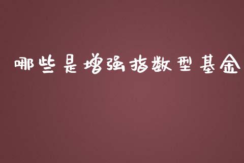 哪些是增强指数型基金_https://www.apanben.com_国际期货_第1张