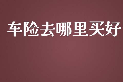车险去哪里买好_https://www.apanben.com_期货学院_第1张