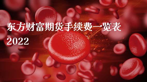 东方财富期货手续费一览表2022_https://www.apanben.com_在线喊单_第1张