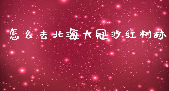 怎么去北海大冠沙红树林_https://www.apanben.com_期货学院_第1张