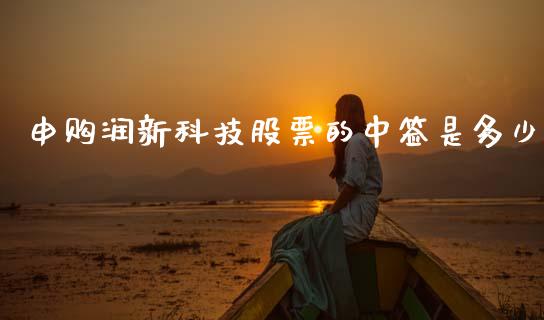 申购润新科技股票的中签是多少_https://www.apanben.com_股票怎么玩_第1张