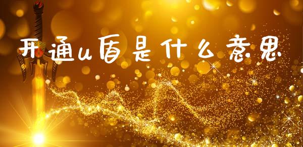 开通u盾是什么意思_https://www.apanben.com_期货学院_第1张
