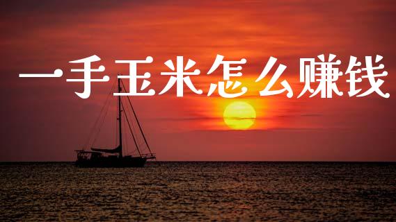 一手玉米怎么赚钱_https://www.apanben.com_国际期货_第1张