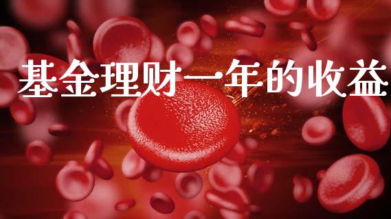 基金理财一年的收益_https://www.apanben.com_国际财经_第1张