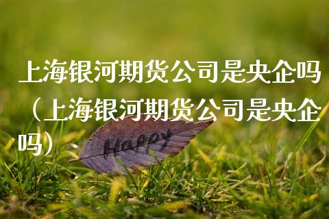 上海银河期货公司是央企吗（上海银河期货公司是央企吗）_https://www.apanben.com_国际期货_第1张