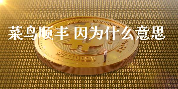 菜鸟顺丰 因为什么意思_https://www.apanben.com_股市分析_第1张
