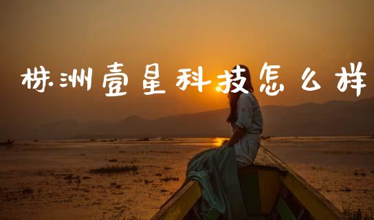 株洲壹星科技怎么样_https://www.apanben.com_期货学院_第1张