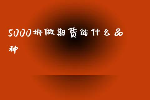5000块做期货能什么品种_https://www.apanben.com_股市指导_第1张