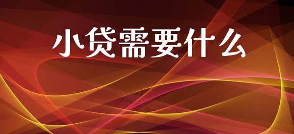 小贷需要什么_https://www.apanben.com_财经资讯_第1张