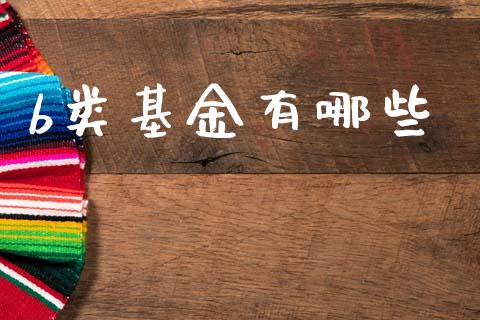 b类基金有哪些_https://www.apanben.com_在线喊单_第1张