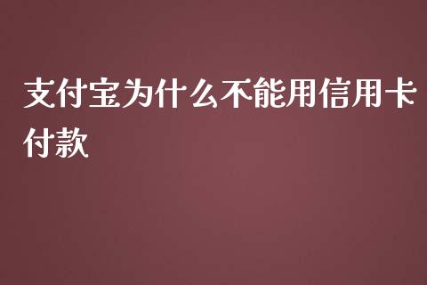 支付宝为什么不能用信用卡付款_https://www.apanben.com_国际财经_第1张