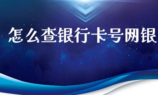 怎么查银行卡号网银_https://www.apanben.com_股市指导_第1张
