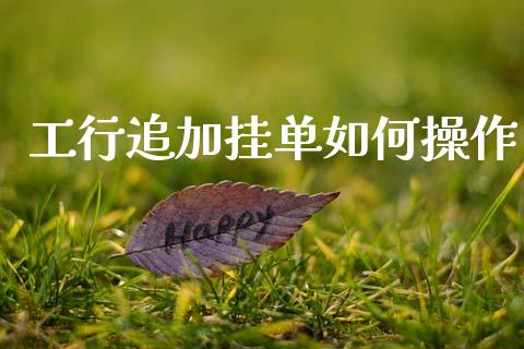 工行追加挂单如何操作_https://www.apanben.com_国际财经_第1张