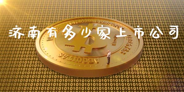 济南有多少家上市公司_https://www.apanben.com_国际期货_第1张