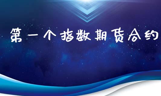 第一个指数期货合约_https://www.apanben.com_期货学院_第1张