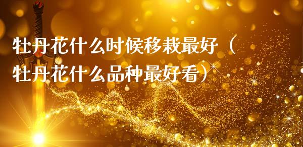 牡丹花什么时候移栽最好（牡丹花什么品种最好看）_https://www.apanben.com_国际期货_第1张