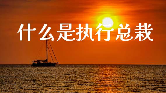 什么是执行总栽_https://www.apanben.com_国际财经_第1张