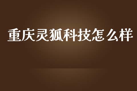 重庆灵狐科技怎么样_https://www.apanben.com_期货学院_第1张
