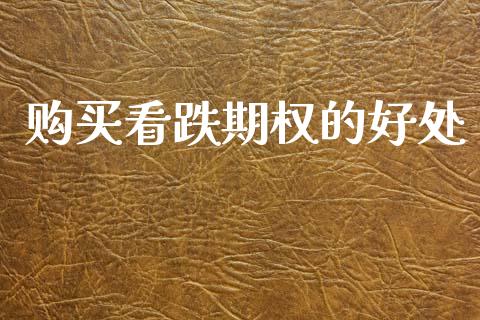 购买看跌期权的好处_https://www.apanben.com_股票怎么玩_第1张