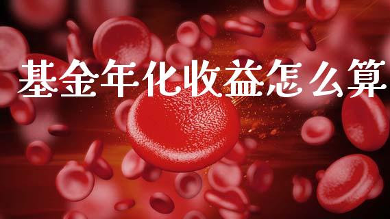 基金年化收益怎么算_https://www.apanben.com_股票怎么玩_第1张