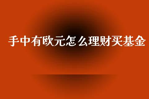 手中有欧元怎么理财买基金_https://www.apanben.com_财经资讯_第1张