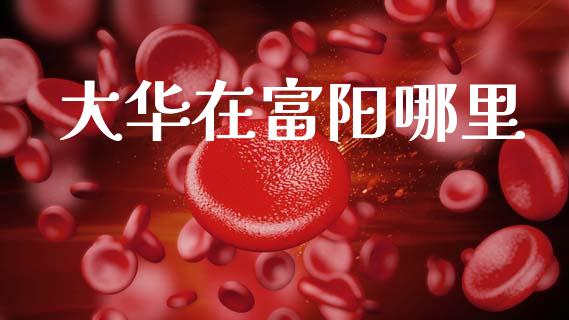 大华在富阳哪里_https://www.apanben.com_期货学院_第1张