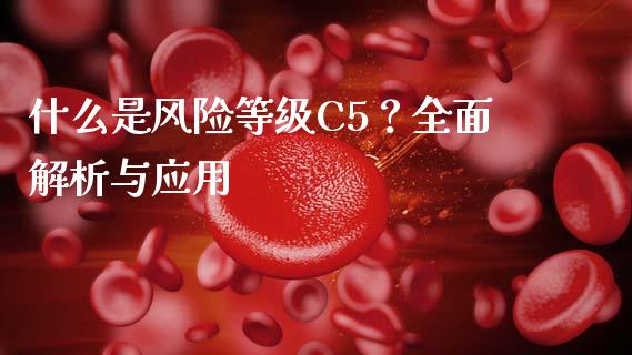 什么是风险等级C5？全面解析与应用_https://www.apanben.com_股市分析_第1张