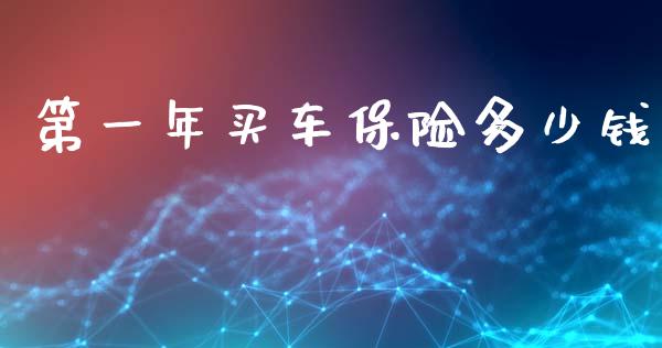 第一年买车保险多少钱_https://www.apanben.com_国际财经_第1张