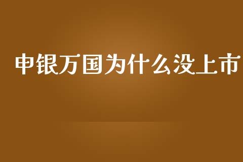 申银万国为什么没上市_https://www.apanben.com_在线喊单_第1张