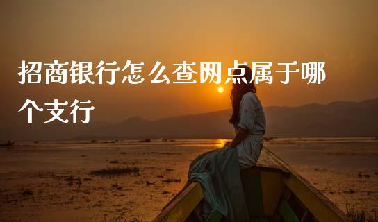 招商银行怎么查网点属于哪个支行_https://www.apanben.com_国际期货_第1张