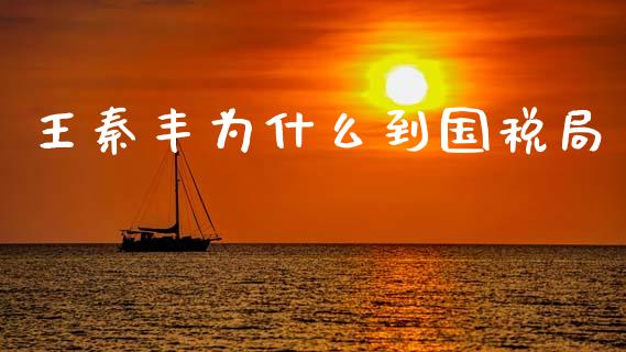 王秦丰为什么到国税局_https://www.apanben.com_在线喊单_第1张