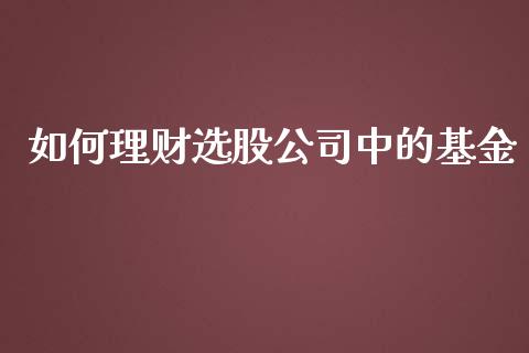 如何理财选股公司中的基金_https://www.apanben.com_国际财经_第1张