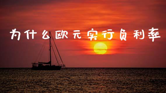 为什么欧元实行负利率_https://www.apanben.com_国际期货_第1张