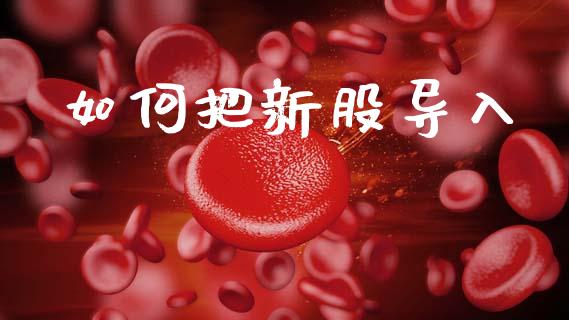 如何把新股导入_https://www.apanben.com_在线喊单_第1张