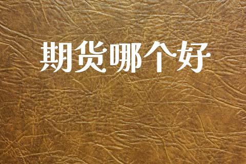 期货哪个好_https://www.apanben.com_股市指导_第1张