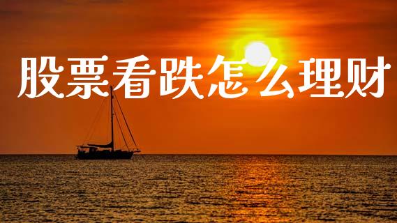 股票看跌怎么理财_https://www.apanben.com_股市指导_第1张