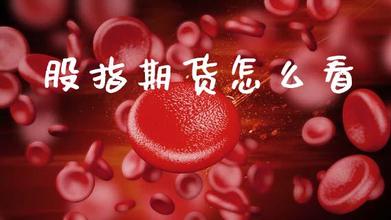 股指期货怎么看_https://www.apanben.com_股票怎么玩_第1张