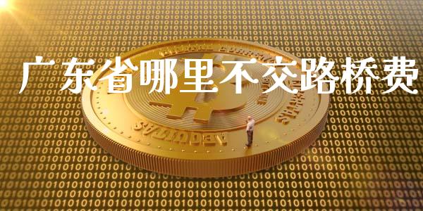 广东省哪里不交路桥费_https://www.apanben.com_期货学院_第1张