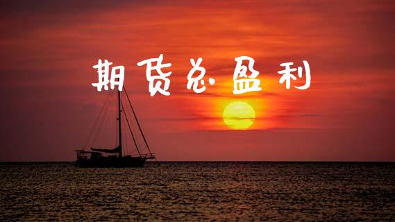 期货总盈利_https://www.apanben.com_股市分析_第1张