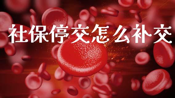 社保停交怎么补交_https://www.apanben.com_股票怎么玩_第1张