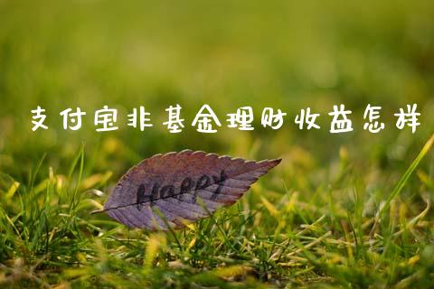 支付宝非基金理财收益怎样_https://www.apanben.com_国际财经_第1张