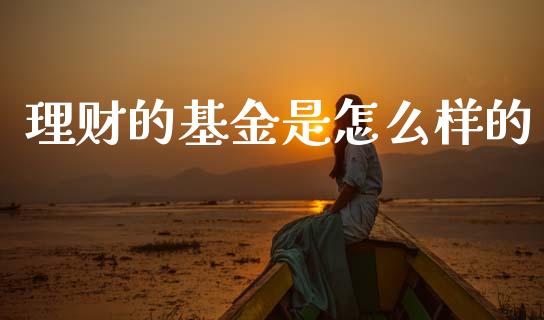 理财的基金是怎么样的_https://www.apanben.com_国际财经_第1张