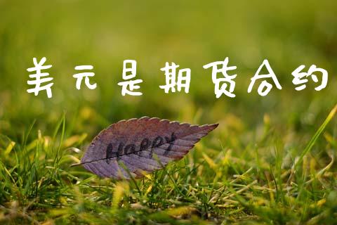美元是期货合约_https://www.apanben.com_股票怎么玩_第1张