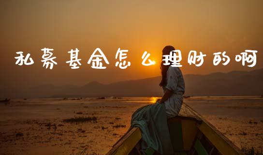 私募基金怎么理财的啊_https://www.apanben.com_国际财经_第1张